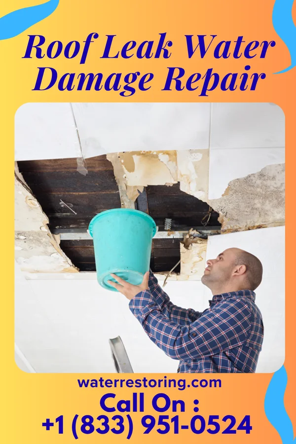 Roof Leak Water Damage Repair in Skidmore, MO