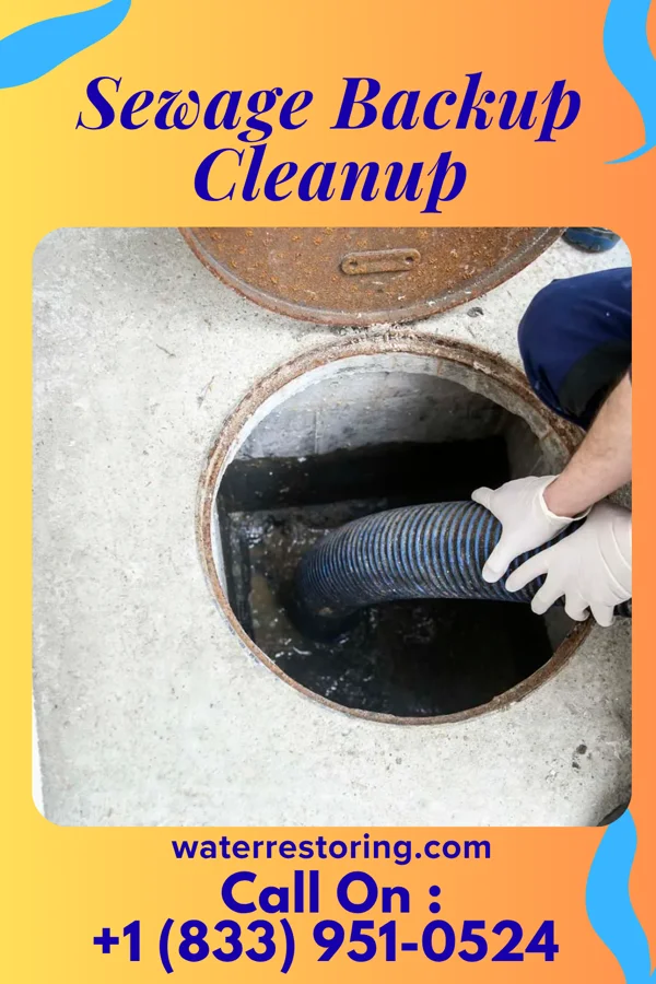 Sewage Backup Cleanup in Skidmore, MO