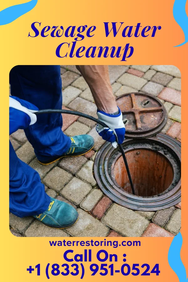 Sewage Water Cleanup in Skidmore, MO